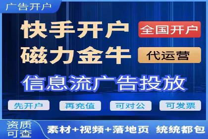 顶级SEM运营公司案例分析